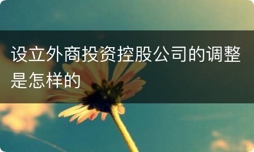 设立外商投资控股公司的调整是怎样的