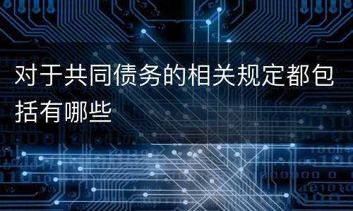 对于共同债务的相关规定都包括有哪些