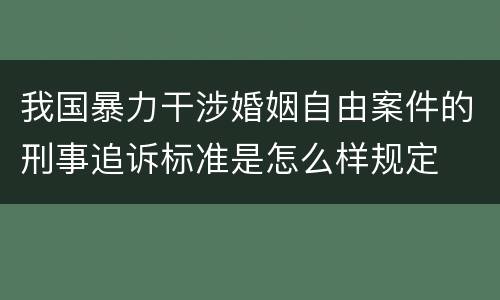 我国暴力干涉婚姻自由案件的刑事追诉标准是怎么样规定