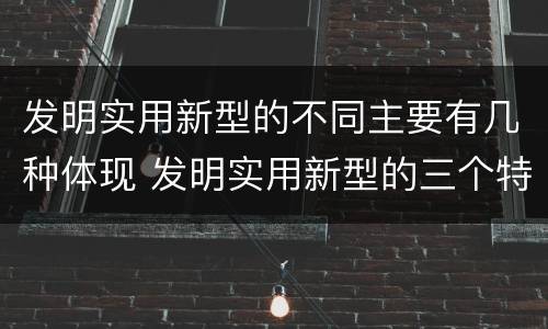 发明实用新型的不同主要有几种体现 发明实用新型的三个特点