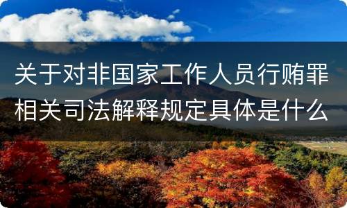 关于对非国家工作人员行贿罪相关司法解释规定具体是什么重要内容