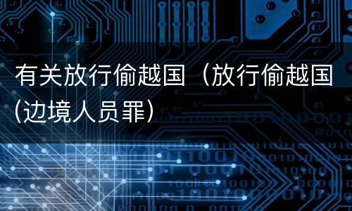 有关放行偷越国（放行偷越国(边境人员罪）