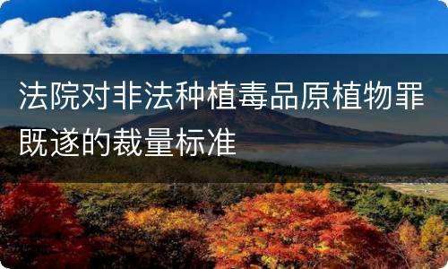 法院对非法种植毒品原植物罪既遂的裁量标准