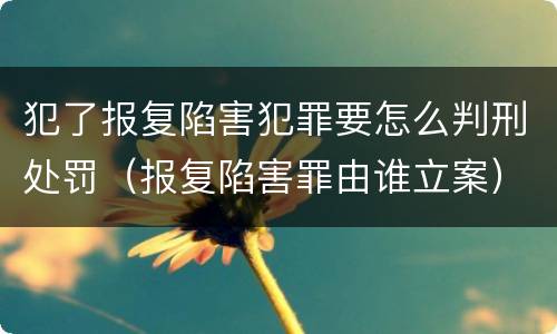 犯了报复陷害犯罪要怎么判刑处罚（报复陷害罪由谁立案）