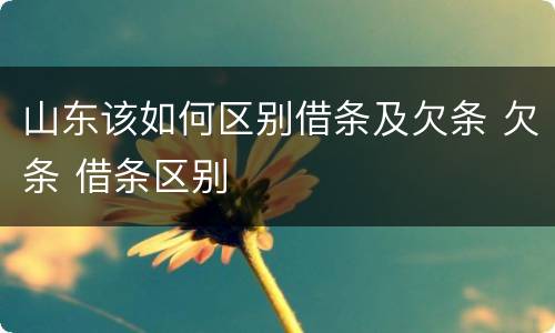 山东该如何区别借条及欠条 欠条 借条区别