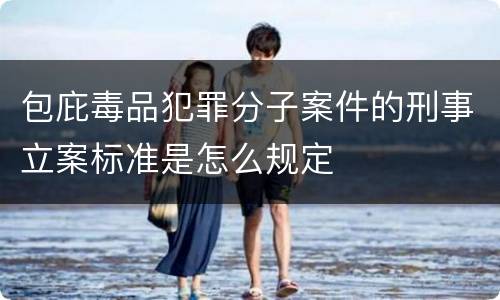 包庇毒品犯罪分子案件的刑事立案标准是怎么规定