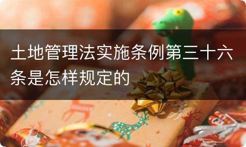 土地管理法实施条例第三十六条是怎样规定的