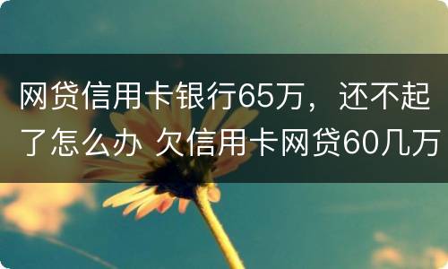 网贷信用卡银行65万，还不起了怎么办 欠信用卡网贷60几万