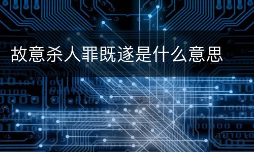 故意杀人罪既遂是什么意思