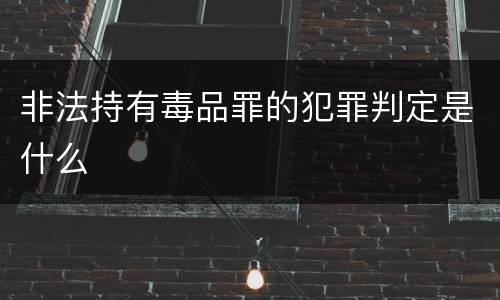 非法持有毒品罪的犯罪判定是什么