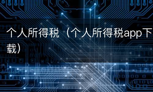 个人所得税（个人所得税app下载）