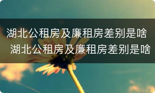 湖北公租房及廉租房差别是啥 湖北公租房及廉租房差别是啥呀