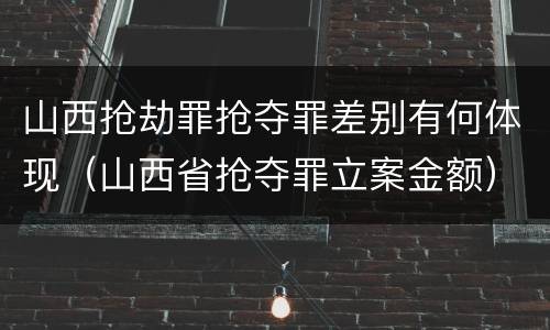 山西抢劫罪抢夺罪差别有何体现（山西省抢夺罪立案金额）