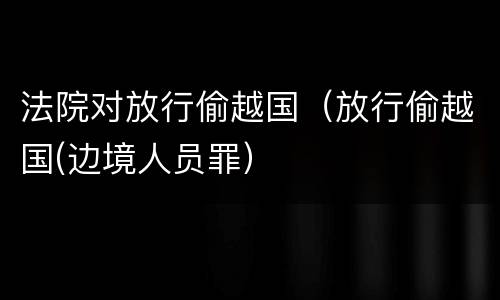 法院对放行偷越国（放行偷越国(边境人员罪）
