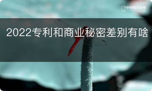 2022专利和商业秘密差别有啥