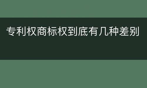 专利权商标权到底有几种差别