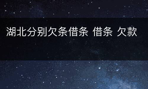 湖北分别欠条借条 借条 欠款