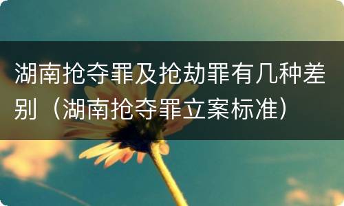 湖南抢夺罪及抢劫罪有几种差别（湖南抢夺罪立案标准）