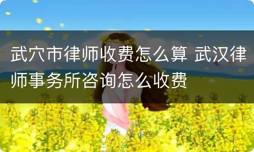 武穴市律师收费怎么算 武汉律师事务所咨询怎么收费