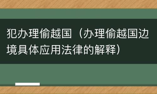犯办理偷越国（办理偷越国边境具体应用法律的解释）