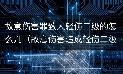 故意伤害罪致人轻伤二级的怎么判（故意伤害造成轻伤二级怎么判刑）