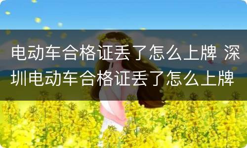 电动车合格证丢了怎么上牌 深圳电动车合格证丢了怎么上牌