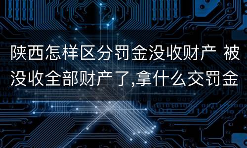陕西怎样区分罚金没收财产 被没收全部财产了,拿什么交罚金