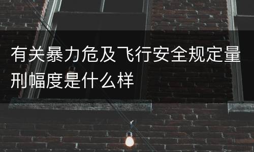 有关暴力危及飞行安全规定量刑幅度是什么样