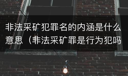 非法采矿犯罪名的内涵是什么意思（非法采矿罪是行为犯吗）