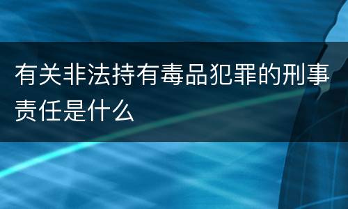 有关非法持有毒品犯罪的刑事责任是什么