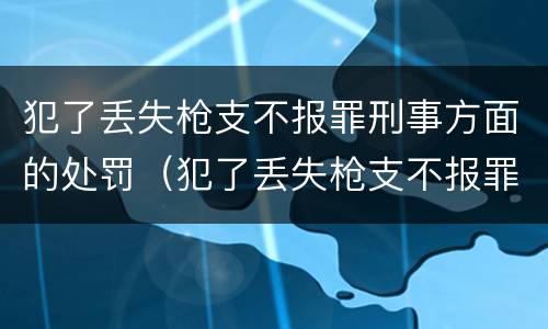 犯了丢失枪支不报罪刑事方面的处罚（犯了丢失枪支不报罪刑事方面的处罚标准）