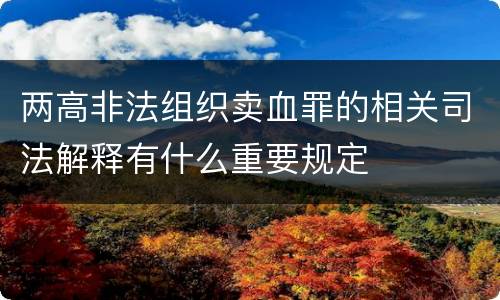 两高非法组织卖血罪的相关司法解释有什么重要规定