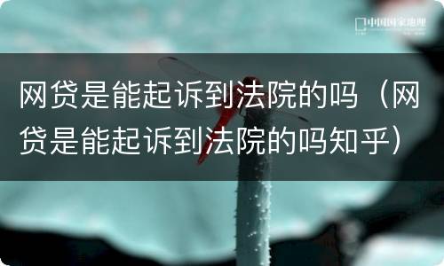 网贷是能起诉到法院的吗（网贷是能起诉到法院的吗知乎）