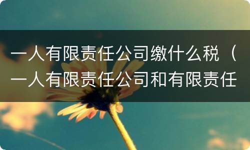 一人有限责任公司缴什么税（一人有限责任公司和有限责任公司纳税）