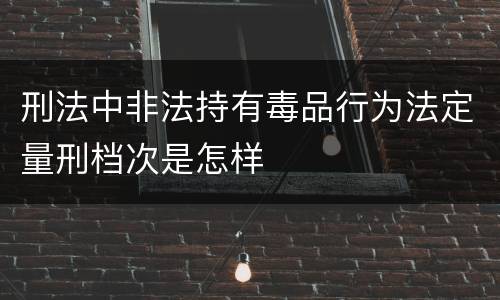 刑法中非法持有毒品行为法定量刑档次是怎样