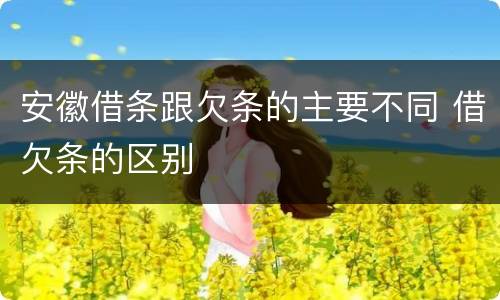 安徽借条跟欠条的主要不同 借欠条的区别
