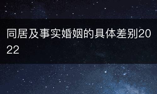 同居及事实婚姻的具体差别2022