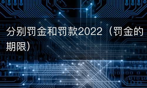 分别罚金和罚款2022（罚金的期限）