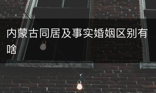内蒙古同居及事实婚姻区别有啥