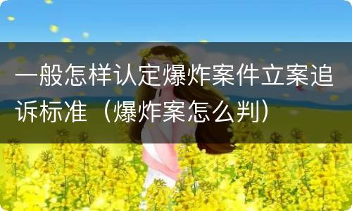 一般怎样认定爆炸案件立案追诉标准（爆炸案怎么判）