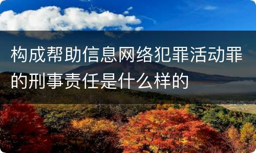 构成帮助信息网络犯罪活动罪的刑事责任是什么样的
