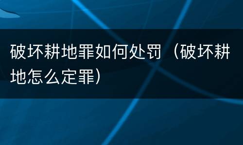 破坏耕地罪如何处罚（破坏耕地怎么定罪）