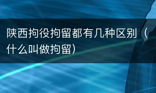陕西拘役拘留都有几种区别（什么叫做拘留）