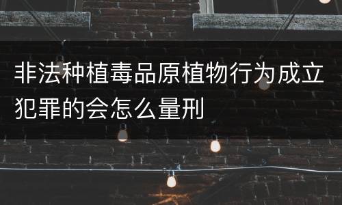 非法种植毒品原植物行为成立犯罪的会怎么量刑