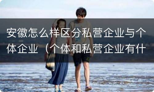 安徽怎么样区分私营企业与个体企业（个体和私营企业有什么区别）