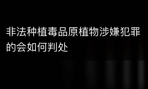 非法种植毒品原植物涉嫌犯罪的会如何判处