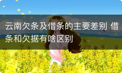 云南欠条及借条的主要差别 借条和欠据有啥区别
