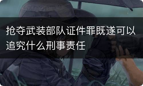 抢夺武装部队证件罪既遂可以追究什么刑事责任