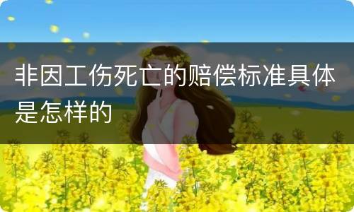 非因工伤死亡的赔偿标准具体是怎样的