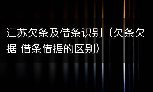 江苏欠条及借条识别（欠条欠据 借条借据的区别）